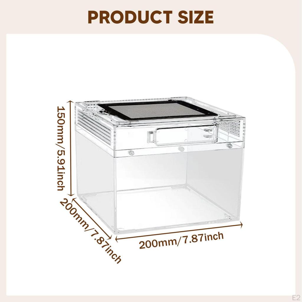 Uppfödnings-terrarium för reptiler, Transparent reptillåda, Behållare Grodor, Drakar, Tusenfotingar,