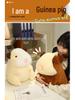 Adorable Cartoon Guinea Pig Plush Pillow Toy - Ideal Birthday Gift