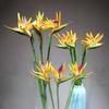 Elegant 57cm Silk Wedding Home Decor Long Stem Natural Nearly Tropical Flowers Crane Artificial  Flowers Latex Flowers