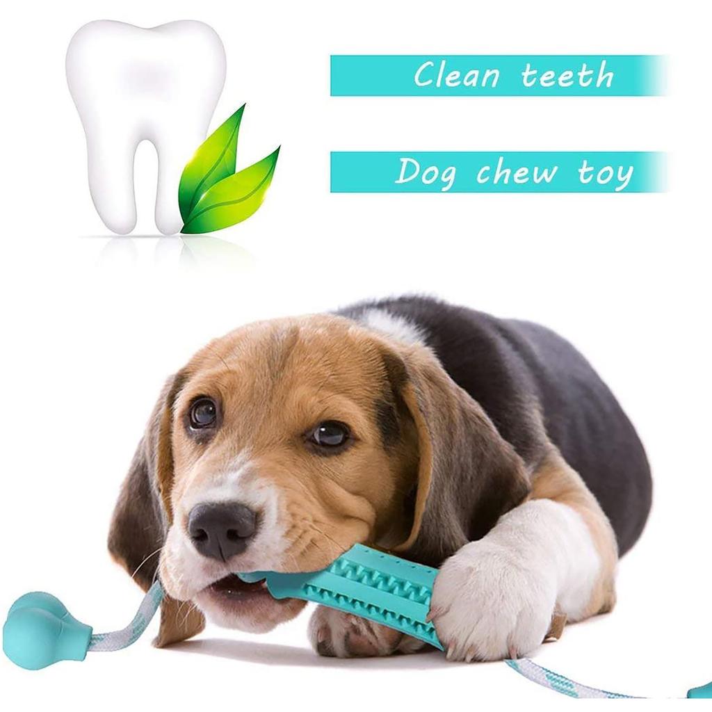 puppy teething sticks