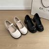 French Retro Thick Heel High Heels Women's 2025 New Summer Versatile Skirt Mary Jane Shallow Mouth Small Leather Shoes