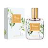 Parfumerie – Parfumuri