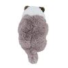 Sun Lemon Lap Cat Good Night Ragdoll GYBR 22×14×47cm Stuffed Toy Animal Cute Cat Cat Greige P-1263