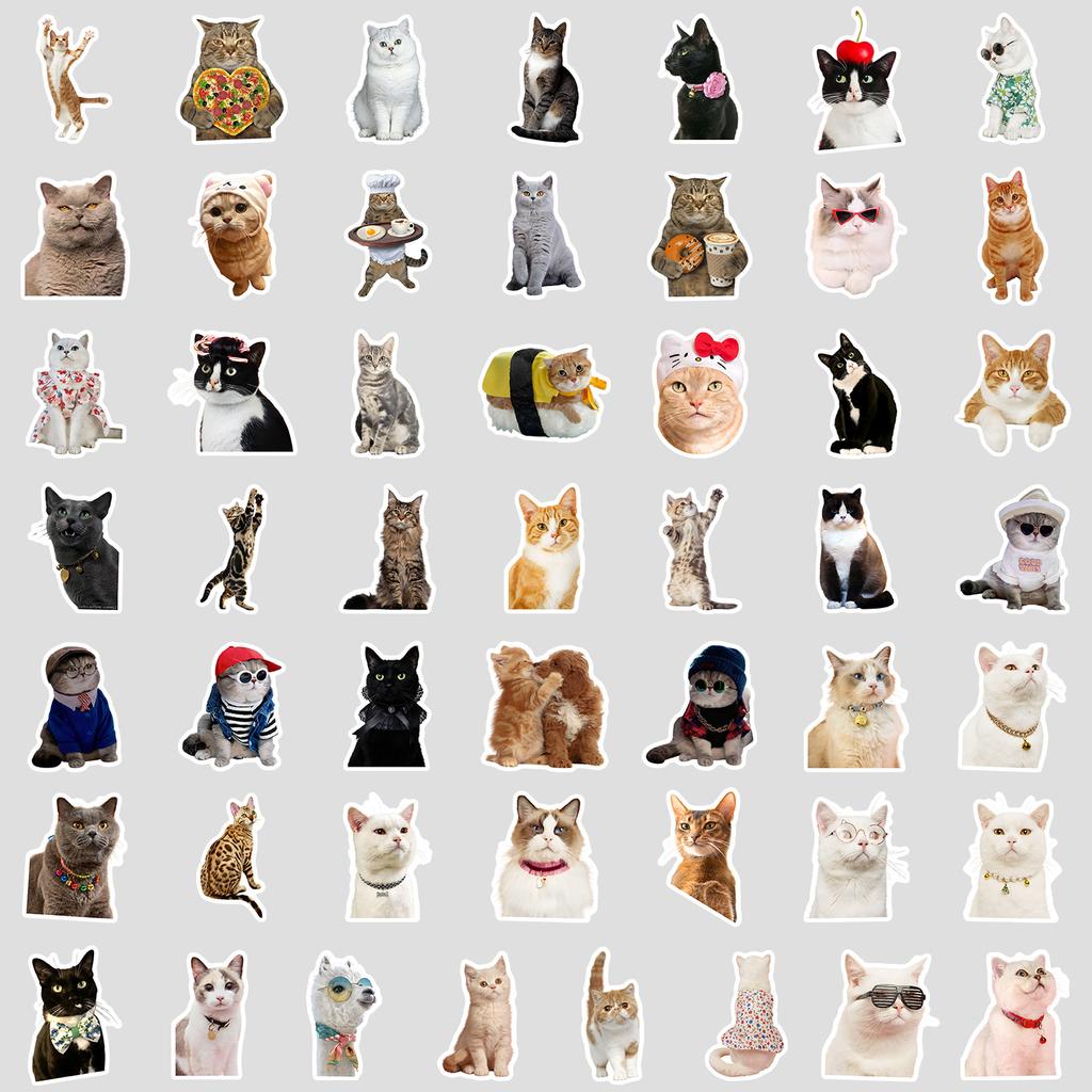 50 Cartoon Cute Kitten Emoticon Pack Graffiti Stickers Mobile Phone Case Hand Account Computer Suitcase Stickers