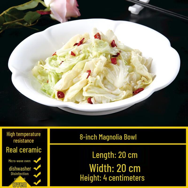 

Pure White Round Ceramic Dinner Plates - 5 Pack