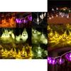 Enchanting Halloween Led String Lights Featuring Whimsical Pumpkins Spiders Skeletons For Festive Window Decor