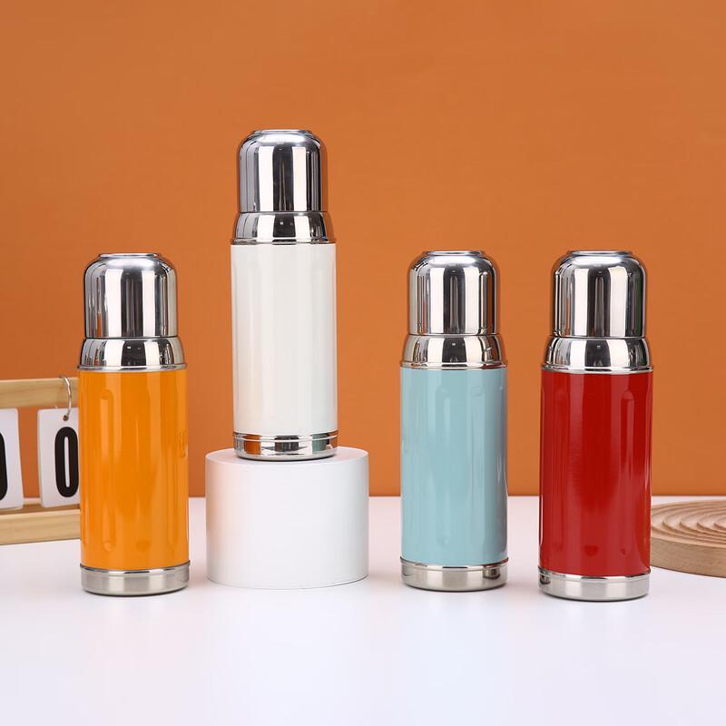 Stainless Steel Insulated Water Bottle