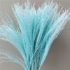 Cattail Dried Flower Bouquet - Preserved Flowers for Home Decor