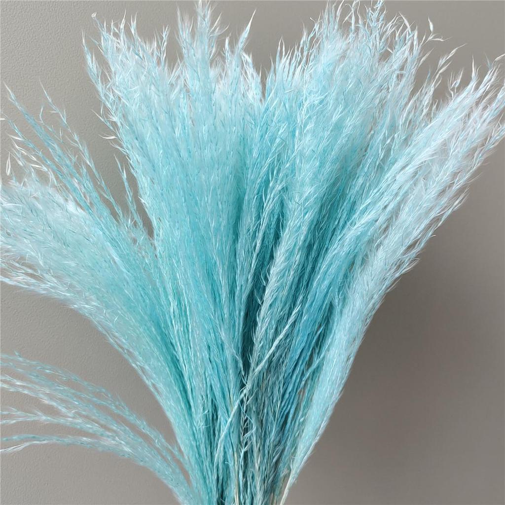 Cattail Dried Flower Bouquet - Preserved Flowers for Home Decor