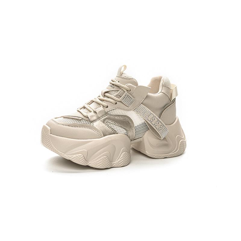 Thick-soled transparent mesh and double-layer mesh heightening dad shoes 2025 new casual versatile fashion style small women's shoes