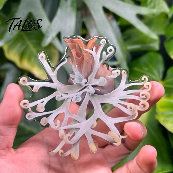 Botanical Fridge Magnets 3D Tropical Plants Refrigerator Magnet, Acrylic Green Decorative Plant Home Decor Memo Notes Photo Holder for Kitchen Office
