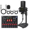 English Version V8 Podcast LGT240 Condenser Microphone Set for Computer Live Streaming