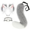 Plush Cat Ears Headband Cat Tail Accessories Collar Cute Cat Girl Animal Ears Hair Accessories Animal Tail Collar Accessories Set