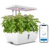iDOO Hydroponic Cultivation Vegetable Cultivation App Remote Stylish Indoor Automatic Flower Interior Vegetable LED Plant Grow Automatic Water