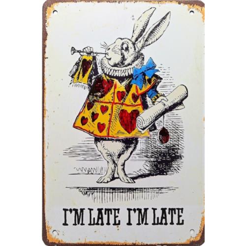 1cVintage Alice In Wonderland Metal Sign Childrens Fairytale Poster Tin Sign aluminum 20x30cm