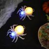 Halloween LED Spider & Pumpkin Glow Light