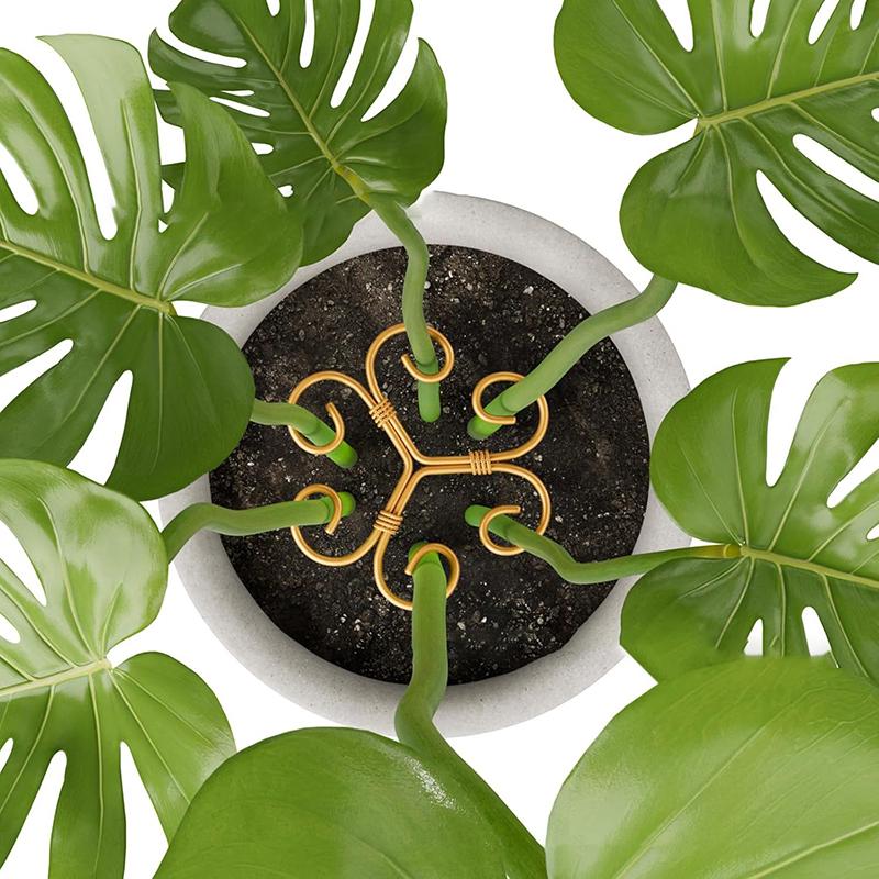 Metal Plant Climbing Bracket Flower Shaped Plant Holding Fixing Clip Plant Vine Climbing Grapple Bracket Stem Finishing Period