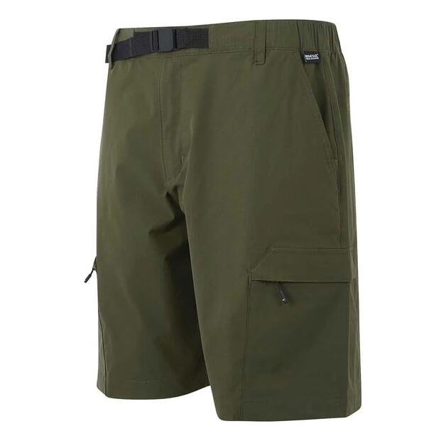 Regatta Mallen Shorts