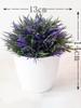 2 Pièces Plantes Vertes Artificielles Queue de Phénix Herbe Plantes en Pot Boules d'Herbe Simulées Décoration Maison Salon Réunion de Vacances Bureau