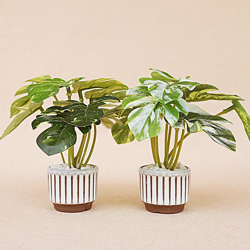 1/12 Dollhouse Mini Simulation Monstera Potted Model Dollhouse Green Plant Decoration Dolls House Living Decor Accessories
