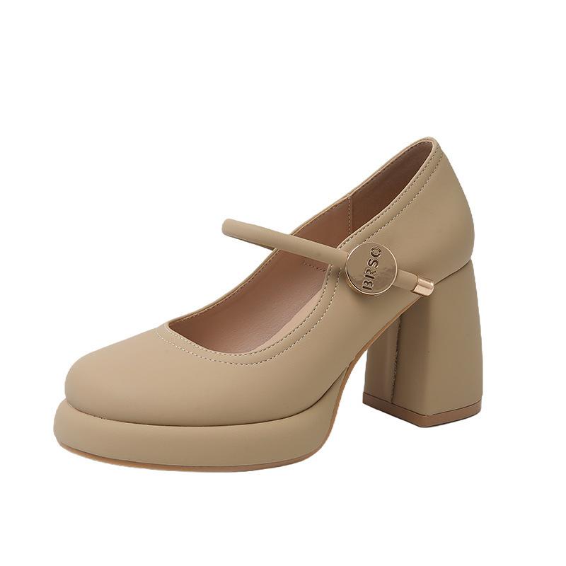 European and American evening breeze Mary Jane high heels women's versatile thick heel skirt spring 2025 new small leather shoes single shoes