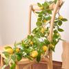Simulation Plant Lemon Tree Green Plant Fake Tree Living Room Nordic Floor Ornament Decoration Simulation Tree Lemon Fruit