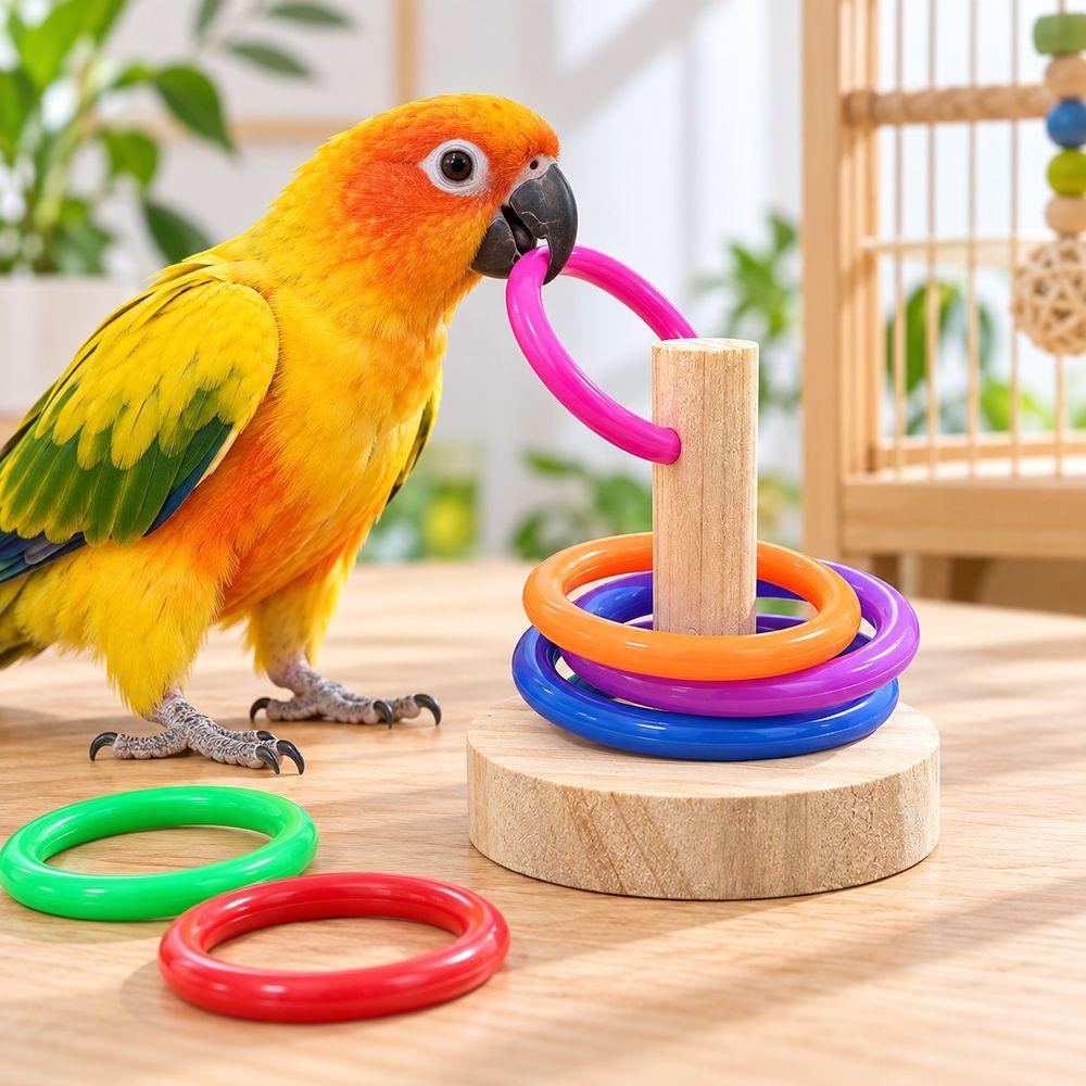 Colorful Rings Interactive Parrot Toy Interactive Exercise Toy For Parrots For Parrot