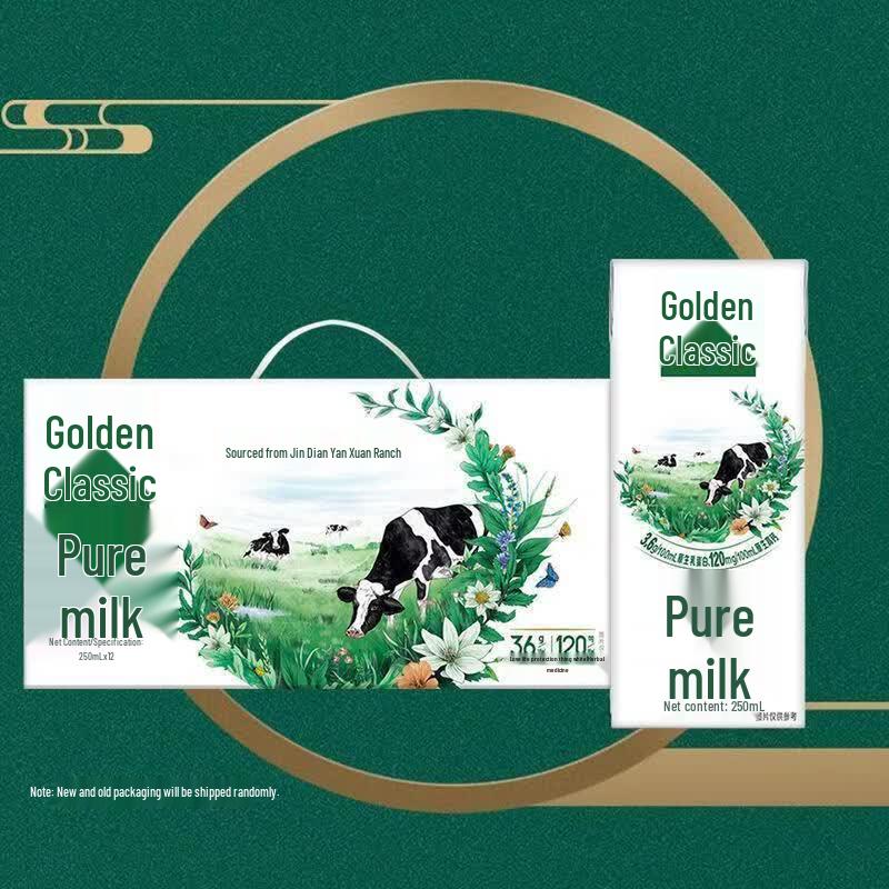 Yili Jindian Pure Milk