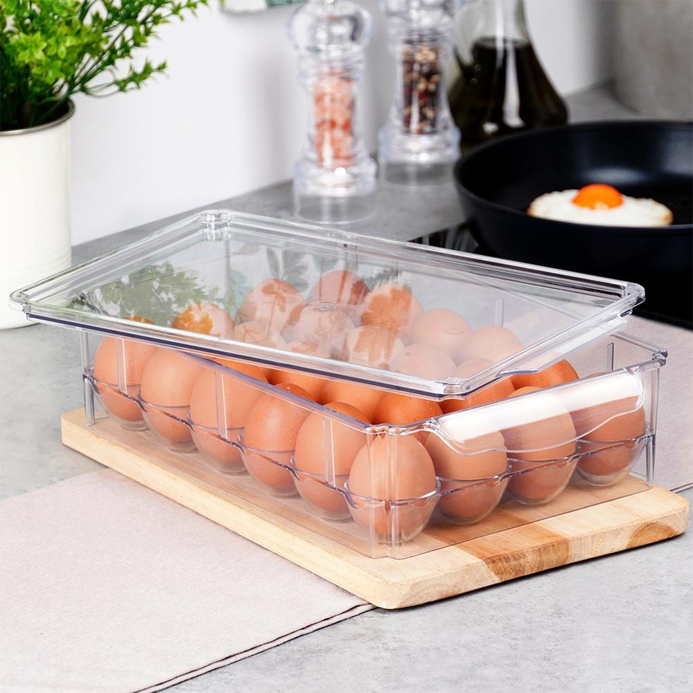 Egg container with lid for 24 eggs