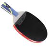 DHS Hurricane Hao Table Tennis Racket