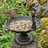 Elegant Peahen Theme Cast Iron Bird Feeder Feeding Station For Garden Landscaping And Wildlife Bathing and Resting