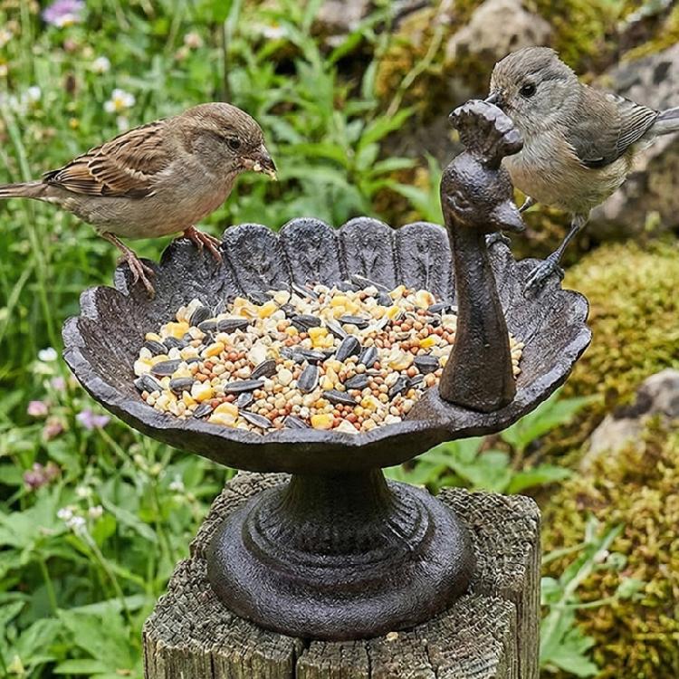 Elegant Peahen Theme Cast Iron Bird Feeder Feeding Station For Garden Landscaping And Wildlife Bathing and Resting