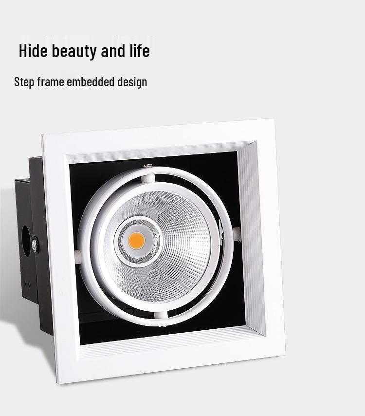 Adjustable Double-Head LED Eyeball Spotlight for Retail Stores