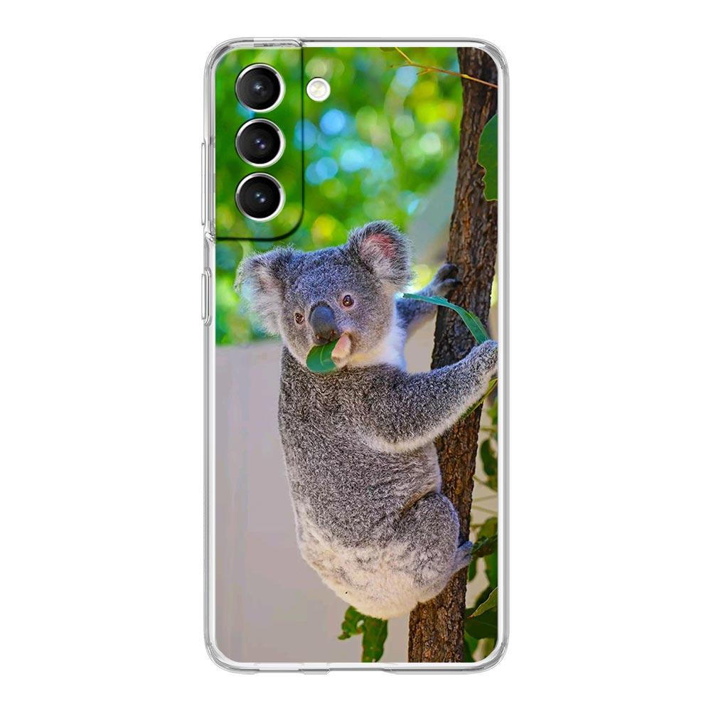 Phone Case For Samsung Galaxy S25 S24 S23 FE S22 Ultra S20 S21 5G S10 Plus S10E Soft Clear Cover Koala