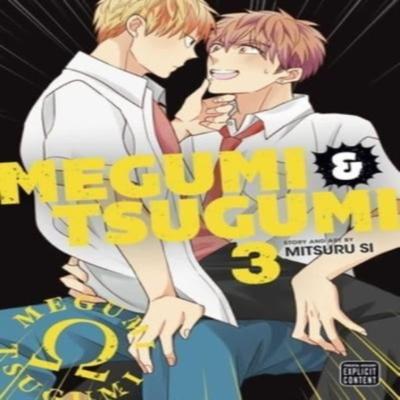 Megumi Amp Tsugumi Vol. 3 by Mitsuru Si Paperback Book 9781974738892