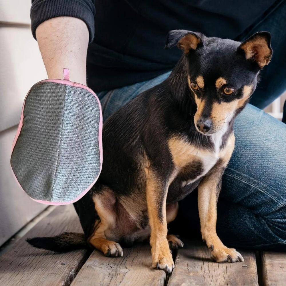 2Pcs Cat Paw Electrostatic Gloves Cute Pet Grooming Glove Cat Hair Cleaning Glove  Pet Accessories