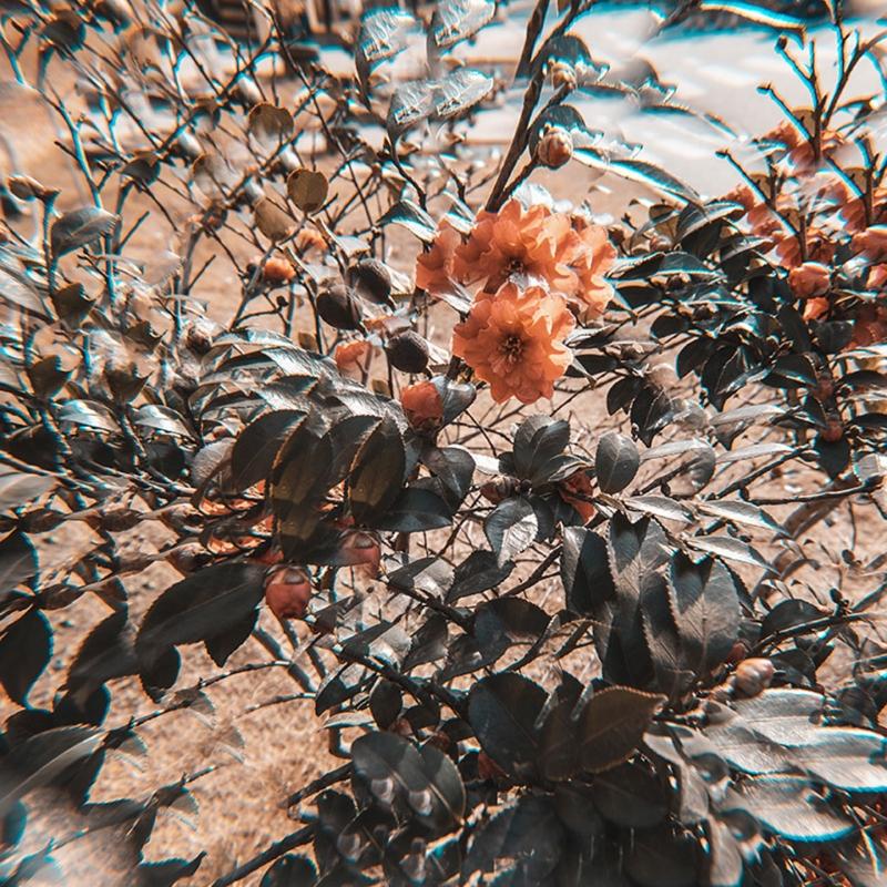 77mm Filter Colorful Prism Kaleidoscope Prism Variable Number Of Shooting Objects Gourmet Effect Wedding Slr