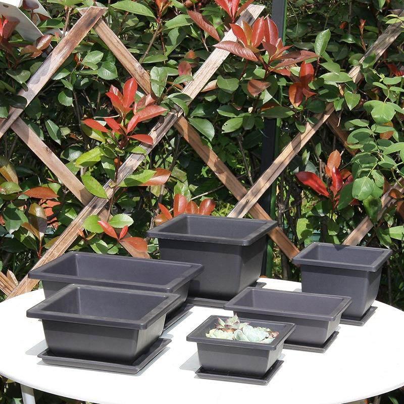 Bonsai Training Pots With Trays Rectangular Plastic Growing Pots Flowerpots Succulent Plants Pots Container Garden Decoration