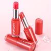 1pc Nourishing Lipstick Soft, Silky, Waterproof, Sweat-Resistant, Long-Lasting Moisturization, Rich Color Payoff for Full, Lustrous Lips