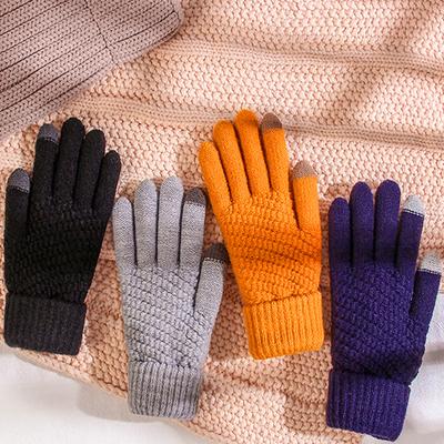 Women Gloves Winter Warm Full Finger Touchscreen Mittens