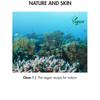 Dr. Ceuracle - Cica Regen Vegan Sun