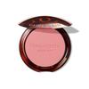 Terracotta Blush