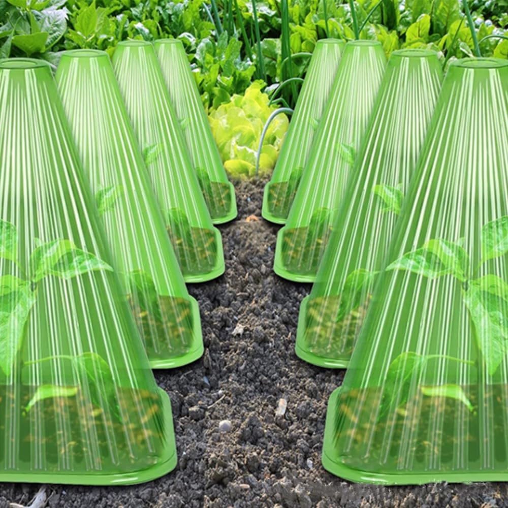 Plant Cloches Cover Reusable Snail Collar Vegetables Growth Box From Insects Bird Plant Protection Plastic Covers Garden Tools
