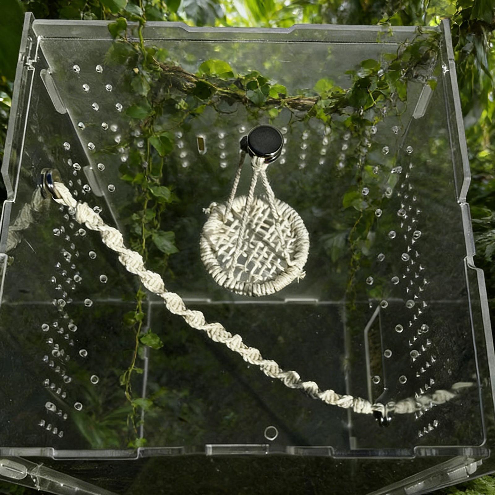 

Spider Enclosure Accessories Hangable Rope Swing Jumping Spider Terrarium Decor For Terrarium Breeding Geckos Tree Frogs Hermit China Mainland