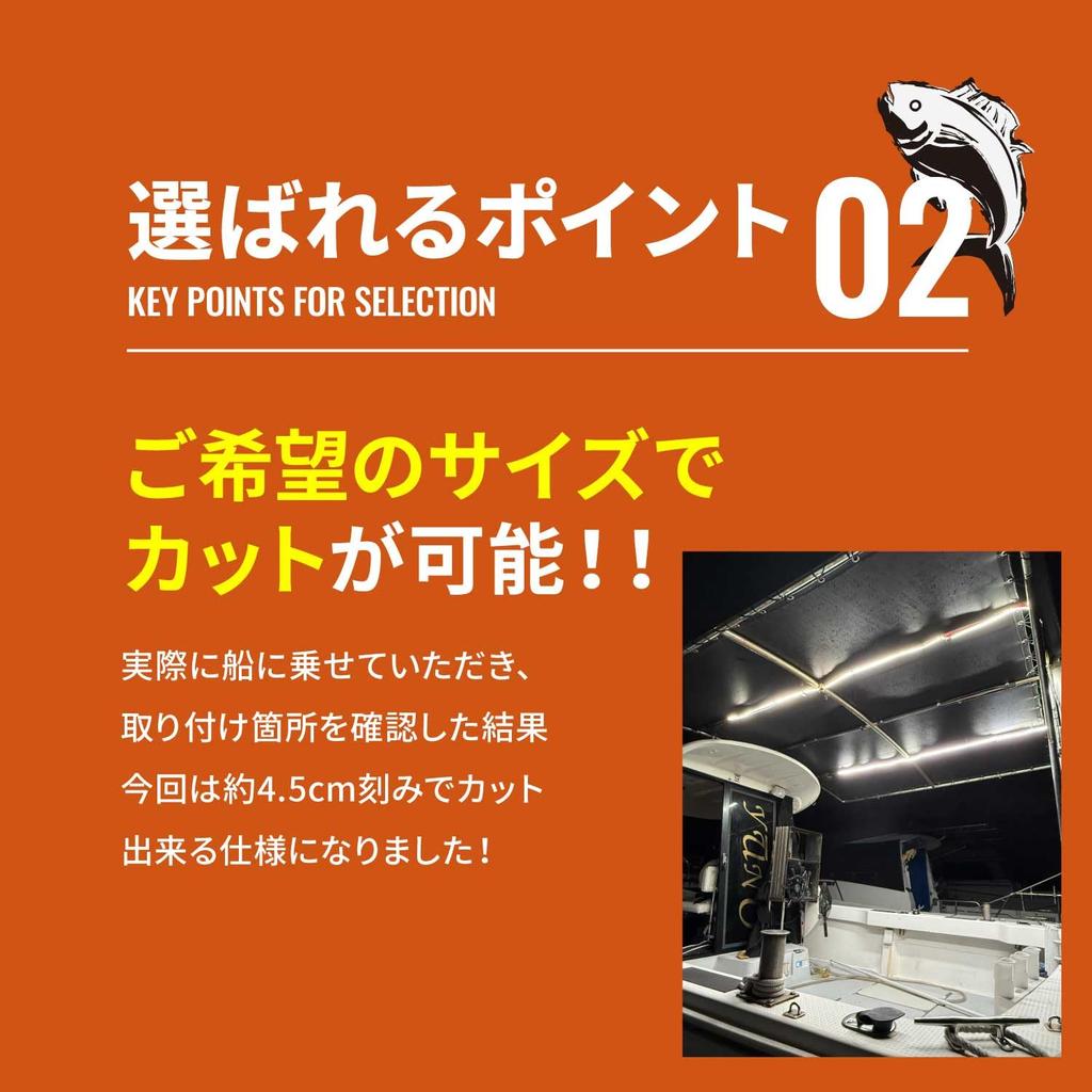 Takenous Takemura Shokai LED Strip 5m COB for Marine Fishing Jet Trucks Light, Waterproof, 24V, Tape, Ships, Vessels, Boats, Skis, (White)