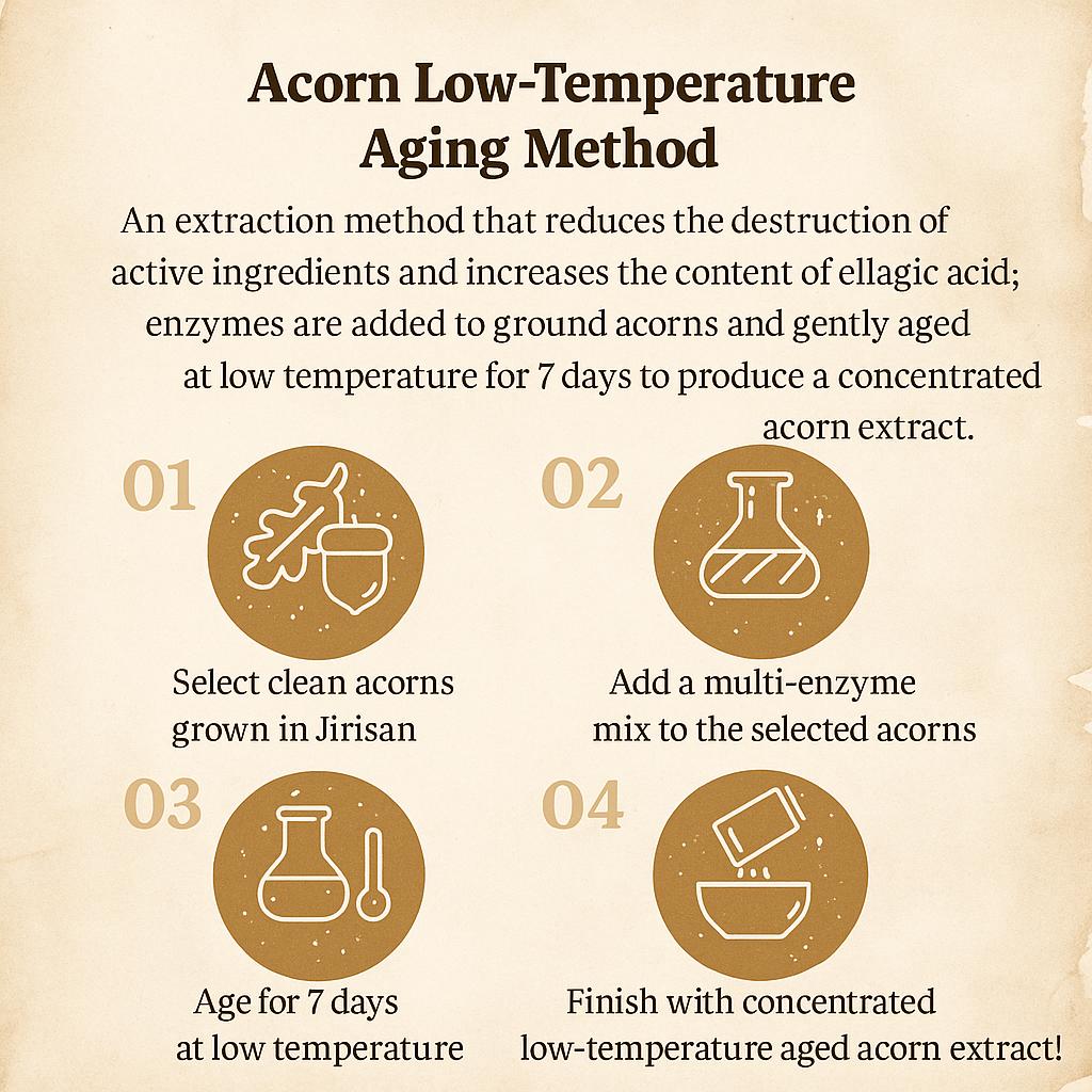 SKINFOOD Acorn Pore Elasticity Cleansing Foam (150ml)