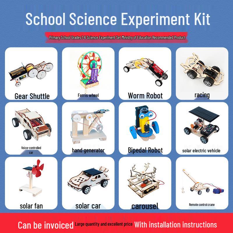 Elementary Science Experiment Wooden DIY Kit - Educational Toys