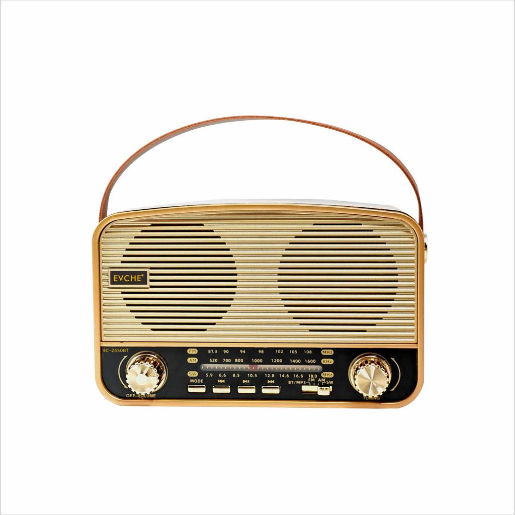 2450BT High-End Handheld Full Band Bluetooth Radio with Card Slot
