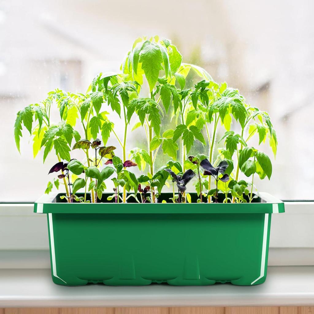Plant Starter Tray Germination Transparent,Propagation with Drainage Holes Sprouting Container