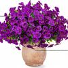 Decorațiuni pentru casă – Flori decorative şi coroane de flori